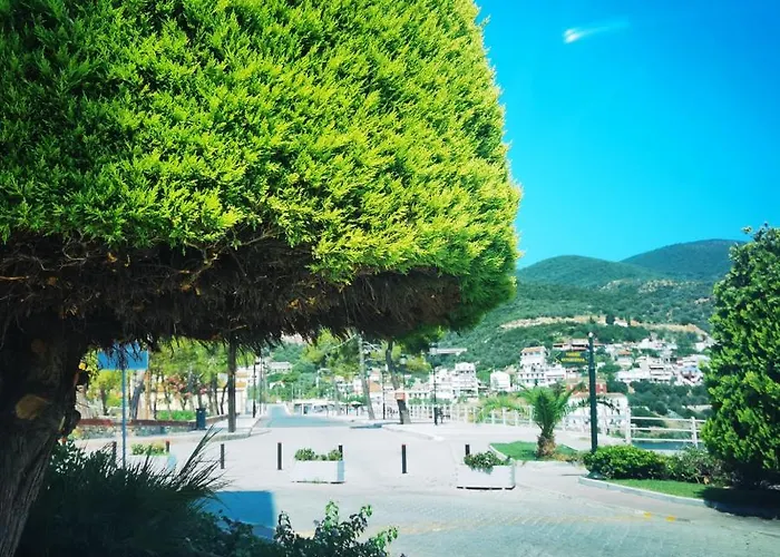 Anemoni 2* Loutra Edipsou (Evia)