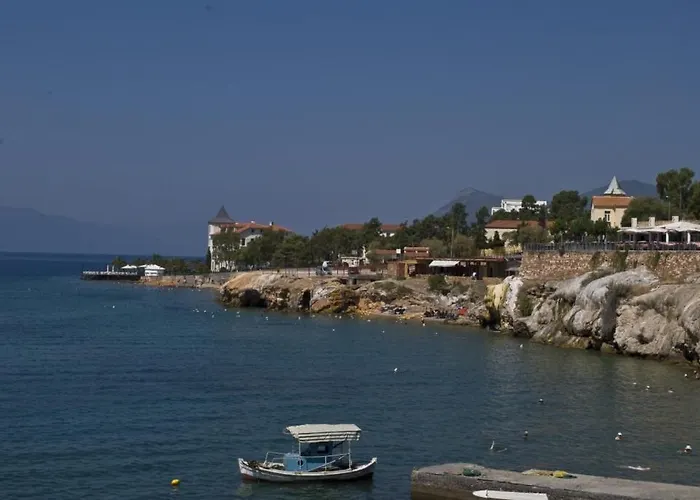 Anemoni Loutra Edipsou (Evia)